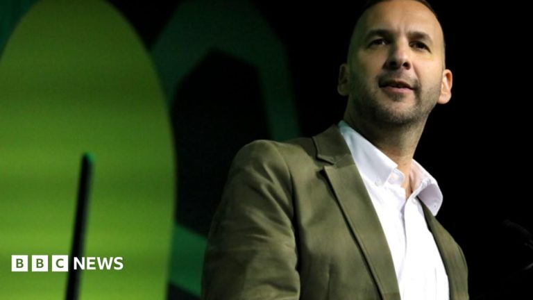What is the Green Party’s ‘Zionism is racism’ motion?