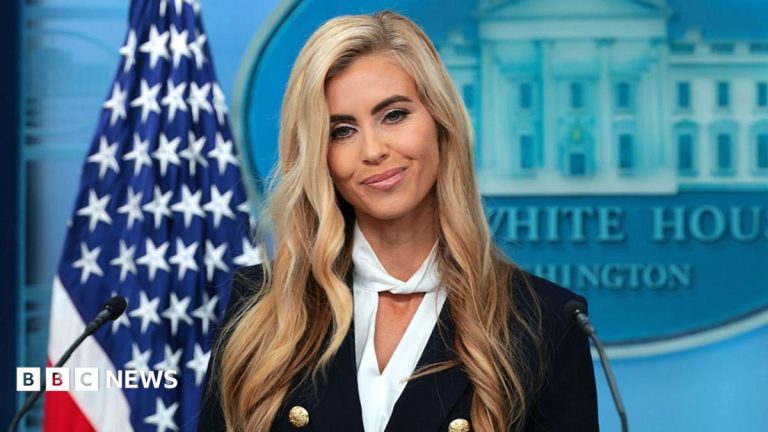 White House defends new press secretary amid questions about her legal credentials