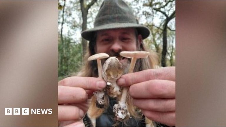 Why are there so many mushrooms around this year?